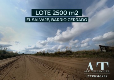Lote de 2.500 m² en El Salvaje: Vivi la Experiencia del Campo junto al Mar.
