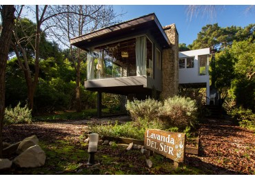 Casa en Mar de las Pampas-Cerca del Mar - Lavanda del Sur 